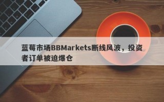 蓝莓市场BBMarkets断线风波，投资者订单被迫爆仓