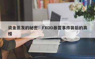 资金蒸发的秘密：FXDD暴雷事件背后的真相