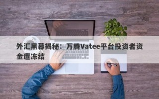 外汇黑幕揭秘：万腾Vatee平台投资者资金遭冻结