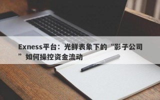 Exness平台：光鲜表象下的“影子公司”如何操控资金流动