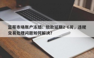 蓝莓市场账户冻结：放款延期2-6周，违规交易处理问题如何解决？