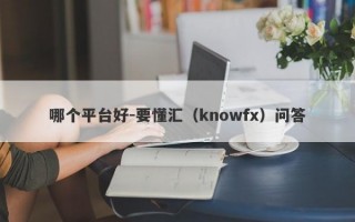 哪个平台好-要懂汇（knowfx）问答