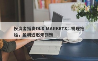 投资者指责DLS MARKETS：提现拖延，盈利迟迟未到账