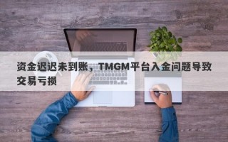 资金迟迟未到账，TMGM平台入金问题导致交易亏损