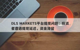 DLS MARKETS平台提现问题：投资者遭遇提现延迟，资金滞留