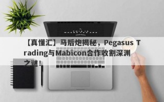 【真懂汇】马后炮揭秘，Pegasus Trading与Mabicon合作收割深渊之谜！