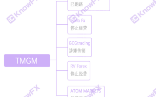 真相探索 丨 官网打不开，TMGM新西兰公司与澳洲公司同名“荣”登法制新闻