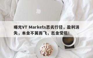 曝光VT Markets恶劣行径，盈利消失，本金不翼而飞，出金受阻！