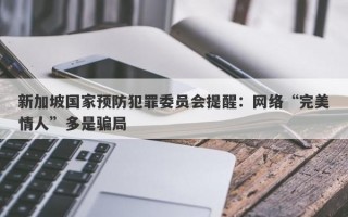 新加坡国家预防犯罪委员会提醒：网络“完美情人”多是骗局