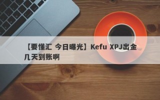 【要懂汇 今日曝光】Kefu XPJ出金几天到账啊
