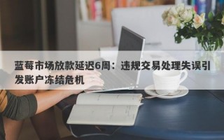 蓝莓市场放款延迟6周：违规交易处理失误引发账户冻结危机