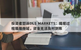 投资者怒诉DLS MARKETS：提现过程屡屡拖延，资金无法及时到账