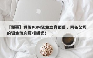 【懂哥】解析PGM资金盘真面目，同名公司的资金流向真相曝光！