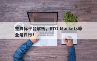 主白标平台解析，ETO Markets等全是白标！