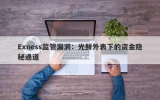 Exness监管漏洞：光鲜外表下的资金隐秘通道