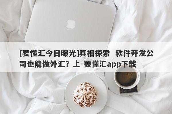 [要懂汇今日曝光]真相探索  软件开发公司也能做外汇？上-要懂汇app下载-第1张图片-要懂汇圈网