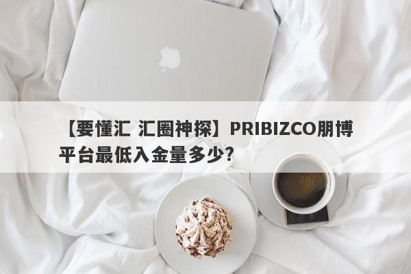 【要懂汇 汇圈神探】PRIBIZCO朋博平台最低入金量多少?
-第1张图片-要懂汇圈网