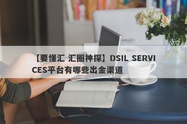 【要懂汇 汇圈神探】DSIL SERVICES平台有哪些出金渠道
-第1张图片-要懂汇圈网