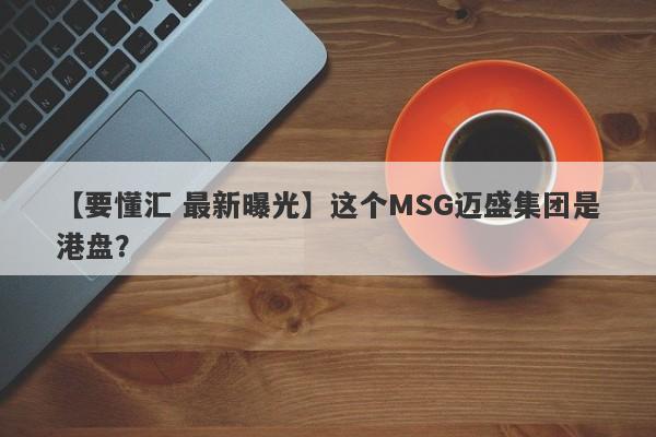 【要懂汇 最新曝光】这个MSG迈盛集团是港盘？
-第1张图片-要懂汇圈网