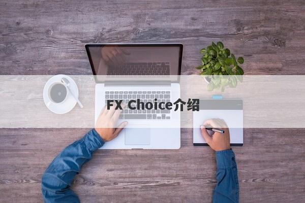 FX Choice介绍-第1张图片-要懂汇圈网