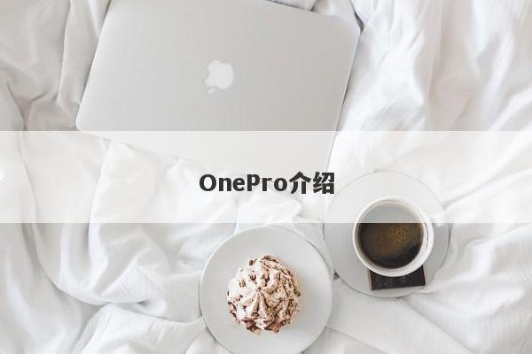 OnePro介绍-第1张图片-要懂汇圈网