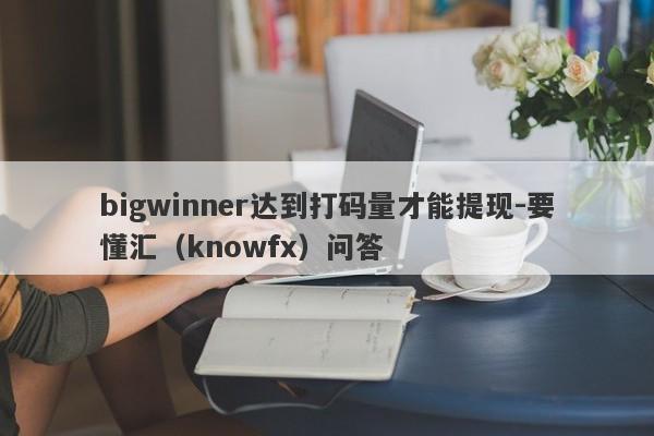 bigwinner达到打码量才能提现-要懂汇（knowfx）问答-第1张图片-要懂汇圈网