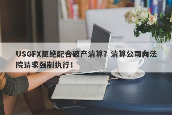 USGFX拒绝配合破产清算？清算公司向法院请求强制执行！-第1张图片-要懂汇圈网