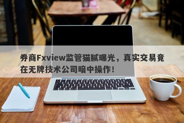 券商Fxview监管猫腻曝光，真实交易竟在无牌技术公司暗中操作！-第1张图片-要懂汇圈网