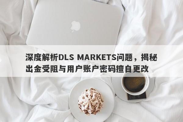 深度解析DLS MARKETS问题，揭秘出金受阻与用户账户密码擅自更改-第1张图片-要懂汇圈网