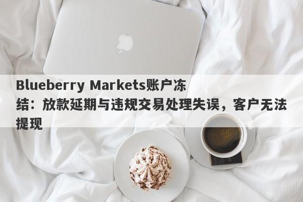 Blueberry Markets账户冻结：放款延期与违规交易处理失误，客户无法提现-第1张图片-要懂汇圈网