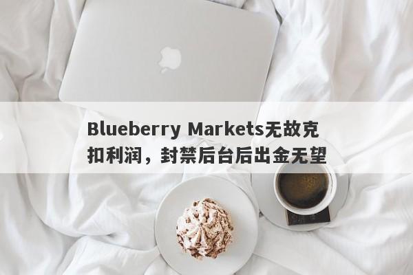 Blueberry Markets无故克扣利润，封禁后台后出金无望-第1张图片-要懂汇圈网