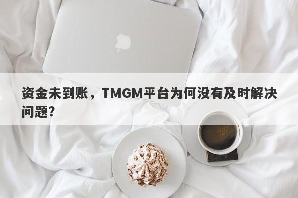 资金未到账，TMGM平台为何没有及时解决问题？-第1张图片-要懂汇圈网