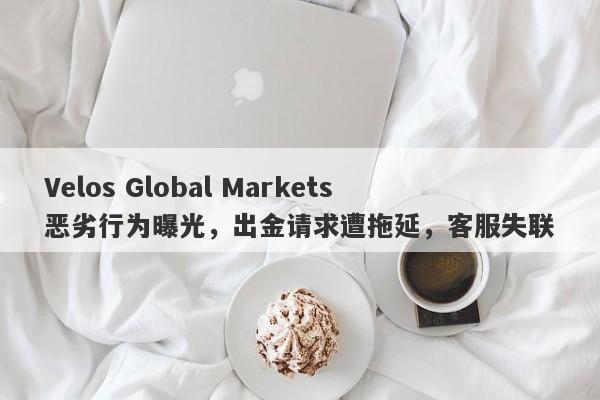 Velos Global Markets恶劣行为曝光，出金请求遭拖延，客服失联-第1张图片-要懂汇圈网