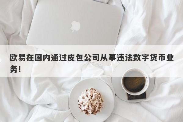 欧易在国内通过皮包公司从事违法数字货币业务！-第1张图片-要懂汇圈网