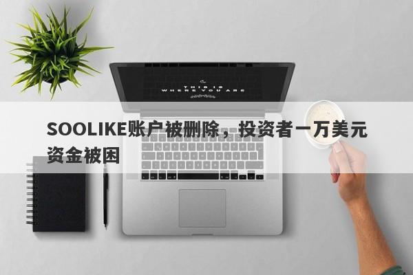 SOOLIKE账户被删除，投资者一万美元资金被困-第1张图片-要懂汇圈网